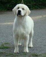 JunCh.Rus,Kaz,.NKP,Ch.Rus,Kaz Rus Pekos Lanso