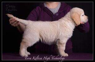 Terra Keltica High Technology