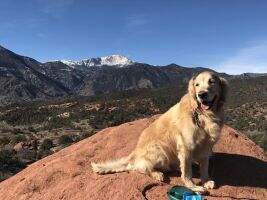 Goldtales Off The Beaten Path