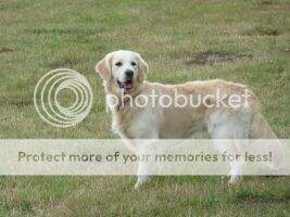 Laurenley Glencoe Laurenley Glencoe