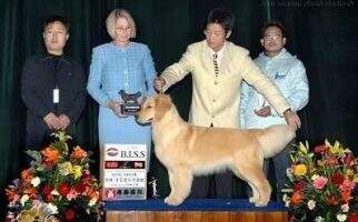 ADWIN OF TARNG'S KENNEL