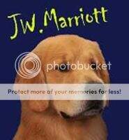 Timbergold's Diamond JW. Marriott
