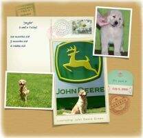 Loonsong John Deere Green
