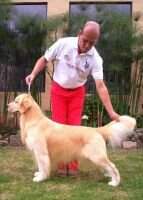Co.Lib.Ve.JCo.JVe Ag Golden Age Pablito Milanes