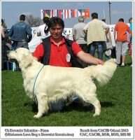 Ro.Ch,Srb.Ch, Srb.Jun.Ch Dewmist Salentino Jun.Clubwinner 2010 Ro.Ch,Srb.Ch, Srb.Jun.Ch Dewmist Salentino Jun.Clubwinner 2010