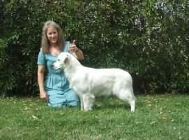 UKC Ch Ch High Country Diamond Rio