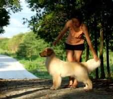 Soffy of chun jin kennel