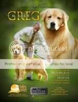 ColCh ColGrCh PanCh BOG Golden Sunset's Jordan Greg ColCh ColGrCh PanCh BOG Golden Sunset's Jordan Greg