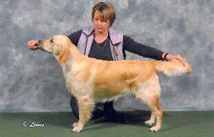 CHLODYL SHEAR DIAMOND