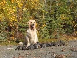 Trugold's One Of The Boys
