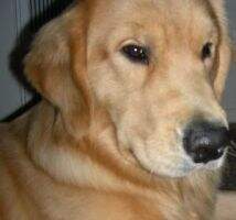Oakhill Heres Lookn At You Kid
