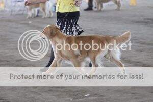 Shilo's Catch Me If U Qan