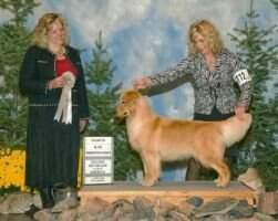 Shilo's Take Qan The Journey 2