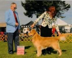 UKC AKC CH Shyan's It's Not A Party Without Me