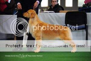 Goldsherlock Beauty Mystic River