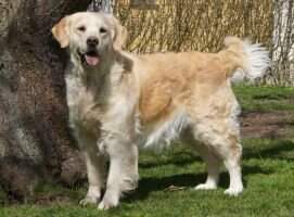 Melli (14621/2005)