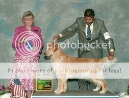 Jansun's Furever Green Jansun's Furever Green