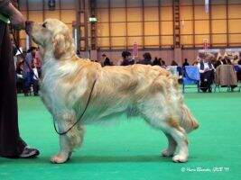 Rumwood Rufus Rules Suntide Rumwood Rufus Rules Suntide