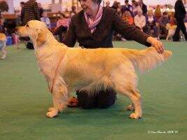 Allouemdan Amazing Grace
