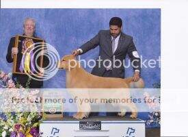 MBISS Pennylane Jansun Justin Credible
