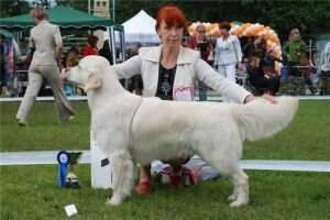 JChRus, NRC Sequins Somerset