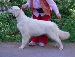 JunCH.RUS,CH.RUS,Jun.CH.NKP Chudnaya Feeriya Iz Stolitsy Urala