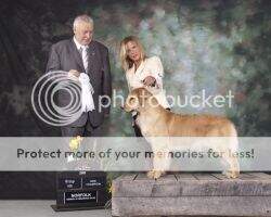 Chestnut Gray Valley's Victory