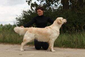 Pl. Ch Xena of the Hellacious Acres