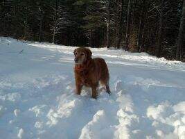 Miss Bailey Mae Carver