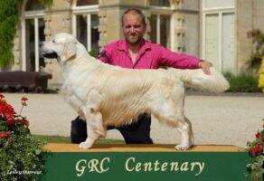 International, Dutch, Swedish, Danish,German, VDH Champion Beethoven of the Hellacious Acres NJK, DJK, W?13