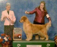 Leongolden Usa America Leongolden Usa America