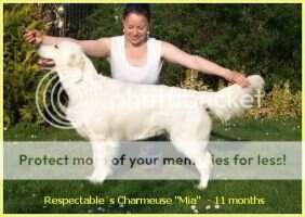 Respectable?s Charmeuse Respectable?s Charmeuse