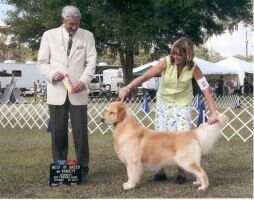 BISS.Am GCH/Br Delavega Orange Crush In Wonderland BISS.Am GCH/Br Delavega Orange Crush In Wonderland