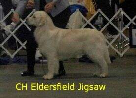 Eldersfield Jigsaw