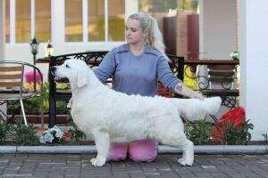 JunChRus JunChNkp ChNkp ChRKF Ballerina of the Famous Family
