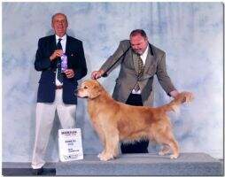 Blackpool's Tucker 2nd