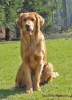 Bergfexn's Alfred