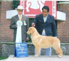 BISP Garnev Dirty Money Nevarez-Garcia