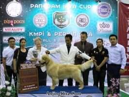 MAL GR CH KR CH THAI CH Ina GR CH Bandit King Gold Legend BBIS BPIS BYIS