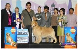 TH.CH. Brave One Gold Legend