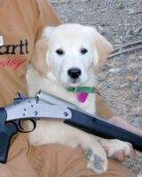 Rio Ranch Goddess Of The Hunt