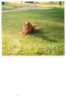 Buddy Be Mine Cress Buddy Be Mine Cress