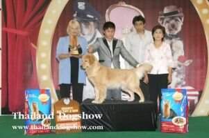 RBPIS. MBPIG. Th CH. Knight Return Viva Forever