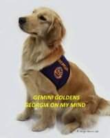 Gemini's Georgia On My Mind