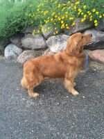 Lativa's Clash Of The Mighty Titan CCA