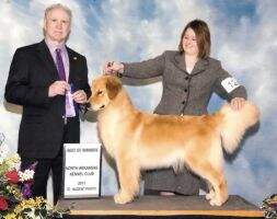 UKC & CH Hillside Billie Jean