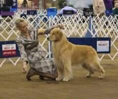 GoldenGael's Wild West Gold Rush