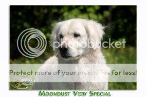 Moondust Very Special
