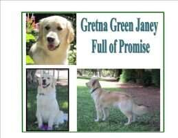 Gretna Green Janey Full of Promise RM BN GN GO CGCA CCA