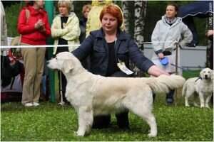 RUS, Club Winner Zhasmin Princess